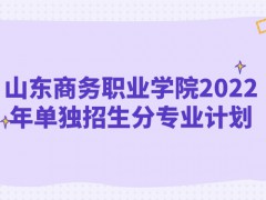 山東商務(wù)職業(yè)學(xué)院2022年單獨(dú)招生分專(zhuān)業(yè)計(jì)劃